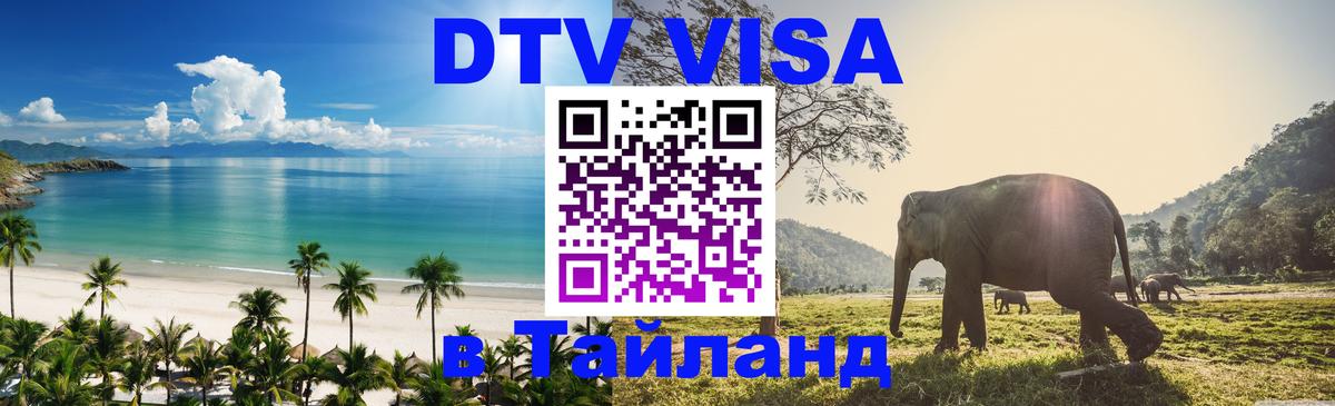 Сколько стоит DTV виза — актуальные цены, оформление даже без документов - Вена  19.11.2025 